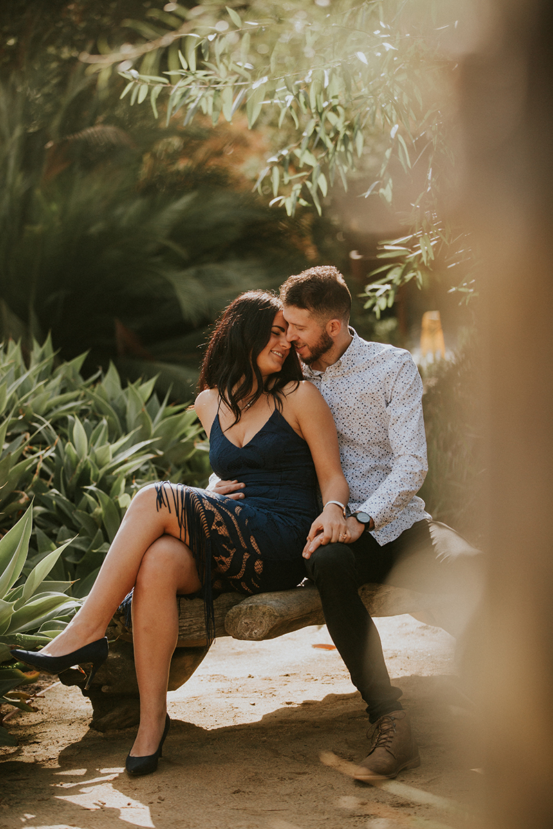A couple sit holding each other at the Los Angeles County Arboretum and Botanic Garden for this Los Angeles engagement photography session
