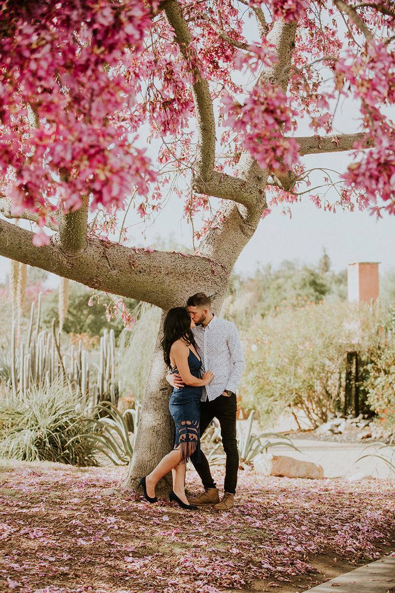 A couple hold each other under pink cherry blossoms at the Los Angeles County Arboretum and Botanic Garden for this Los Angeles engagement photography session